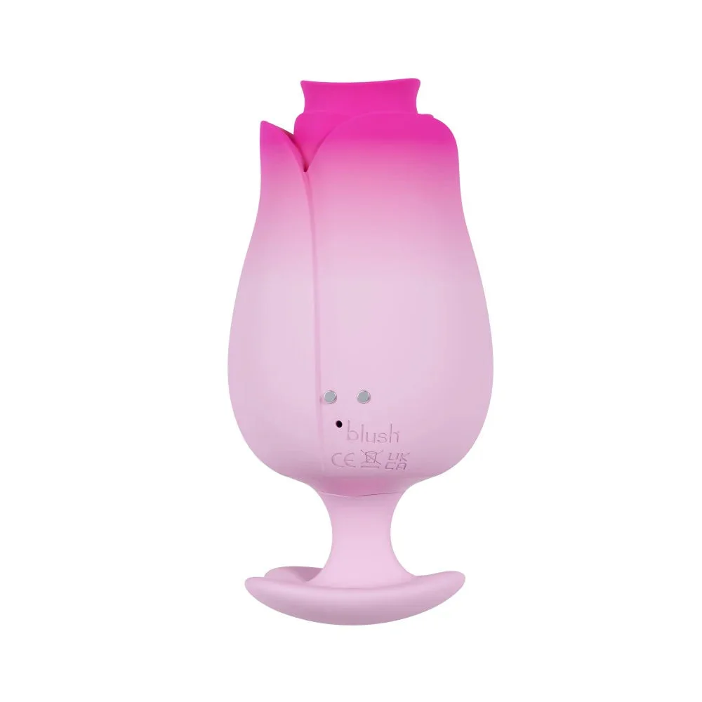 blush-aria-tulip-trance-4.webp